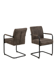 Arden Set Of 2 Dining Chairs